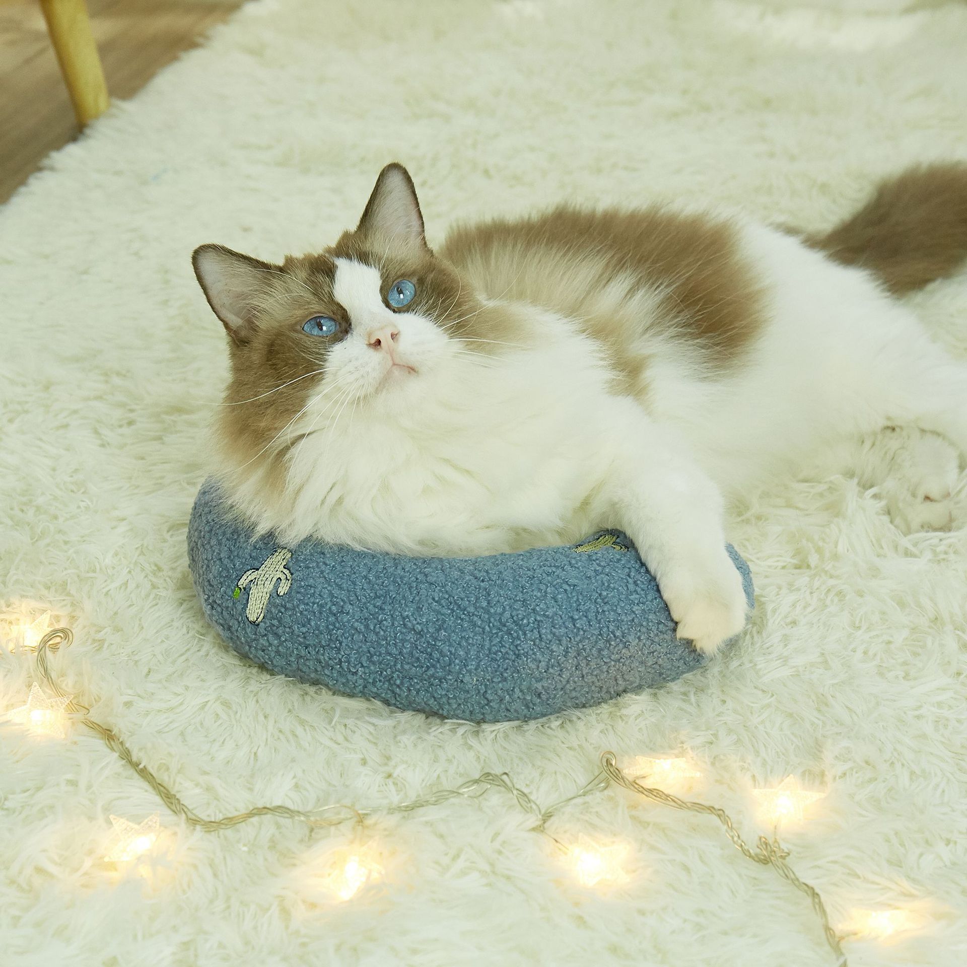 新款猫咪枕头睡眠U型抱枕 舒适助眠护颈椎宠物用品猫玩具